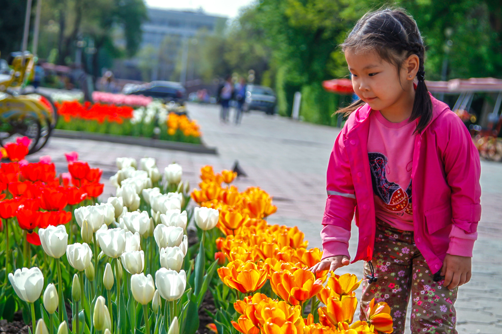 Фото с тюльпанами на улице. Тюльпаны Кыргызстана. Тюльпаны в Киргизии. Весенние цветы Кыргызстана.